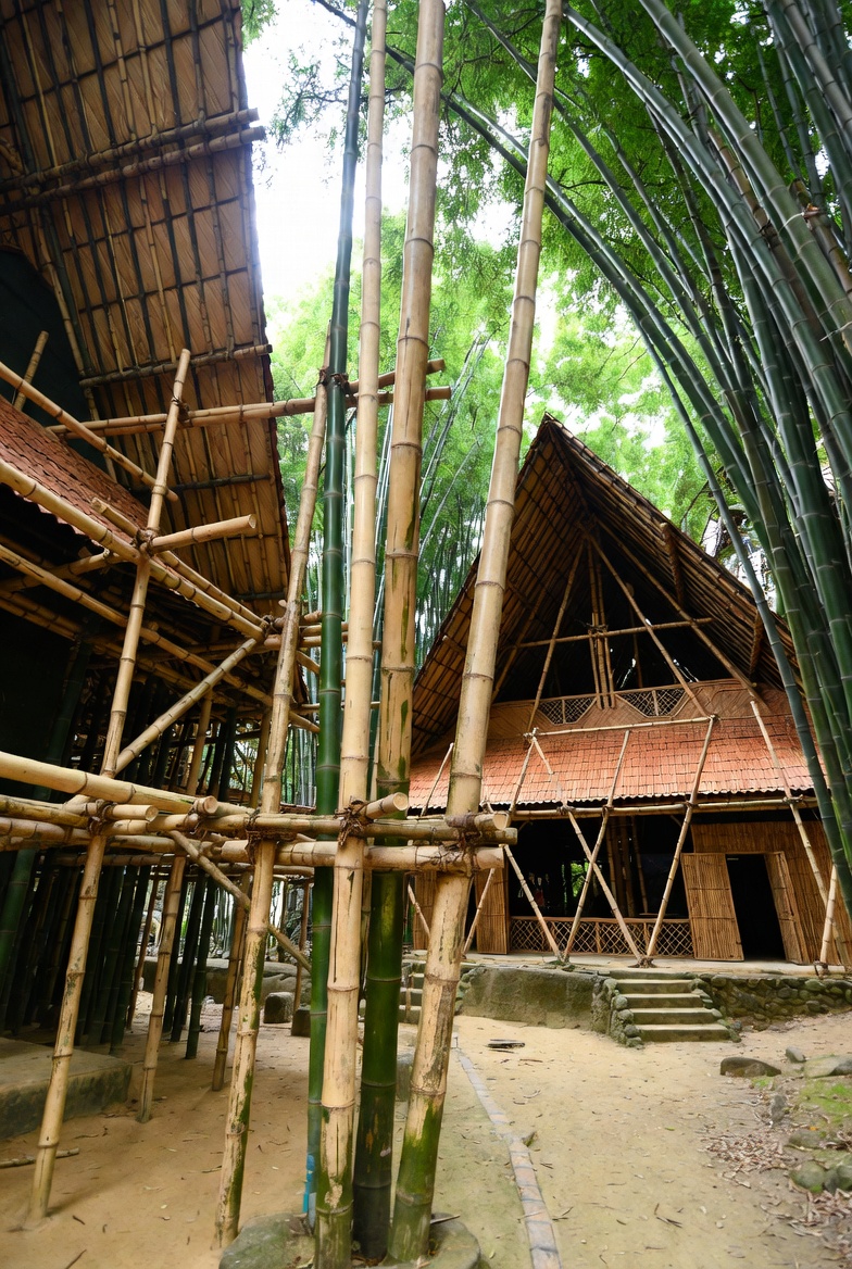 Bamboo Construction