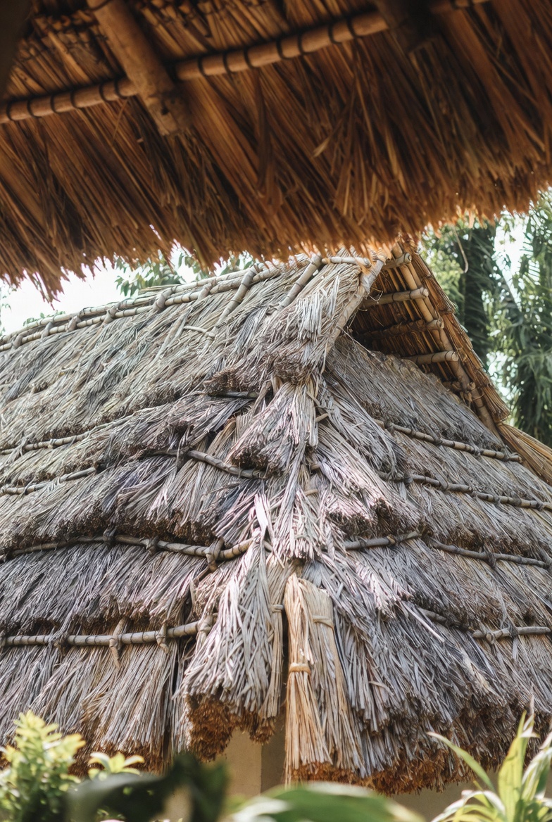 Thatch Roofing
